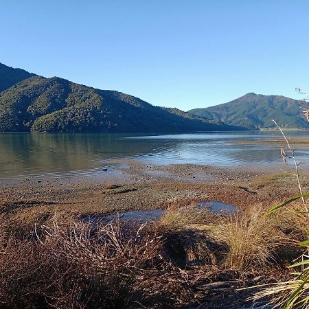 Marlborough Sounds Accommodation 792 Havelock Buitenkant foto