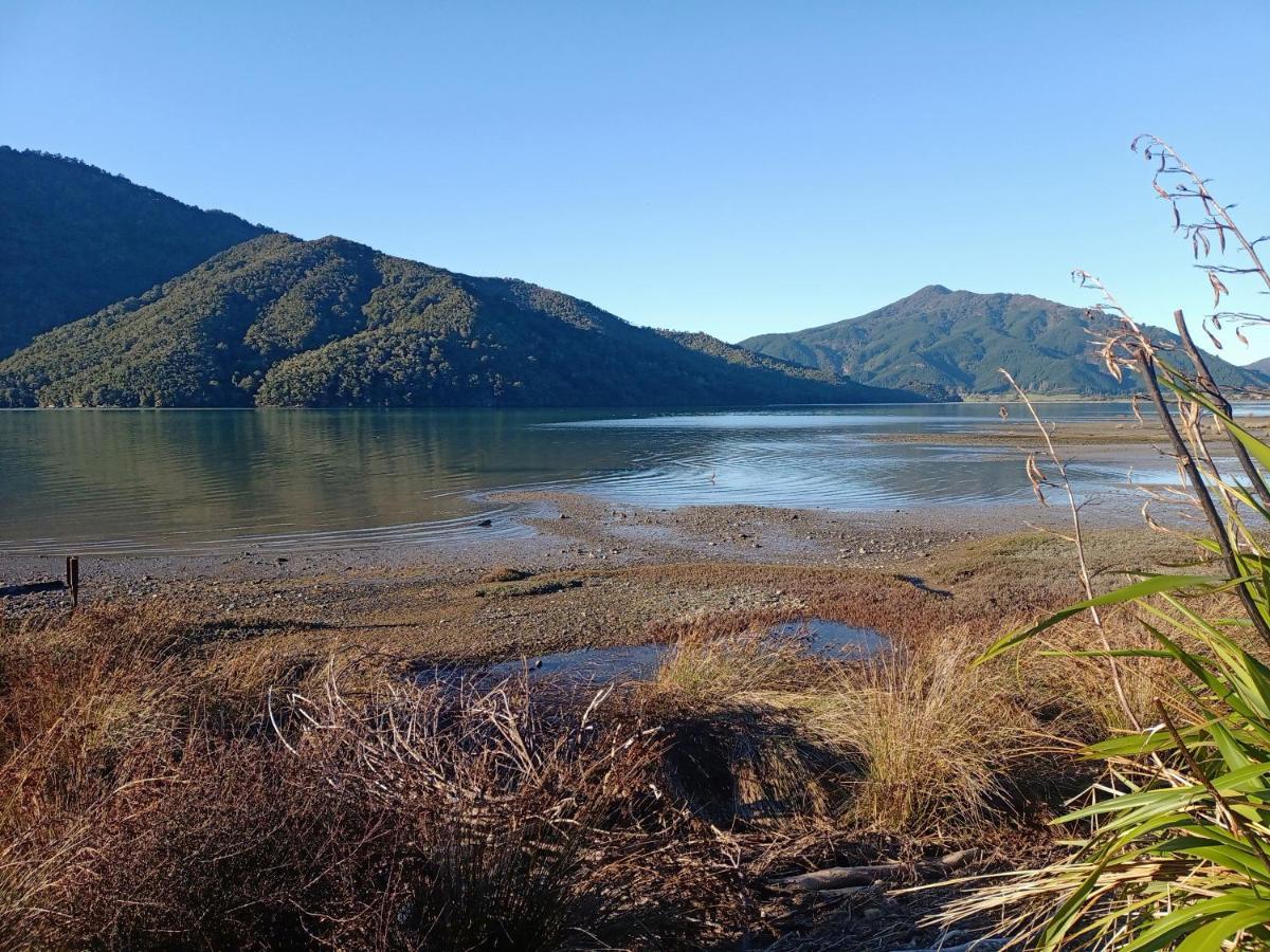 Marlborough Sounds Accommodation 792 Havelock Buitenkant foto